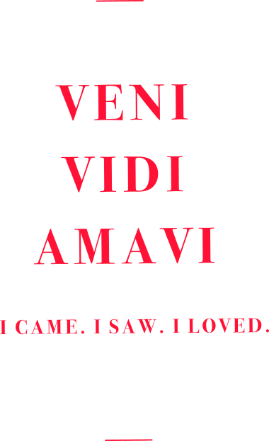 veni vidi amavi