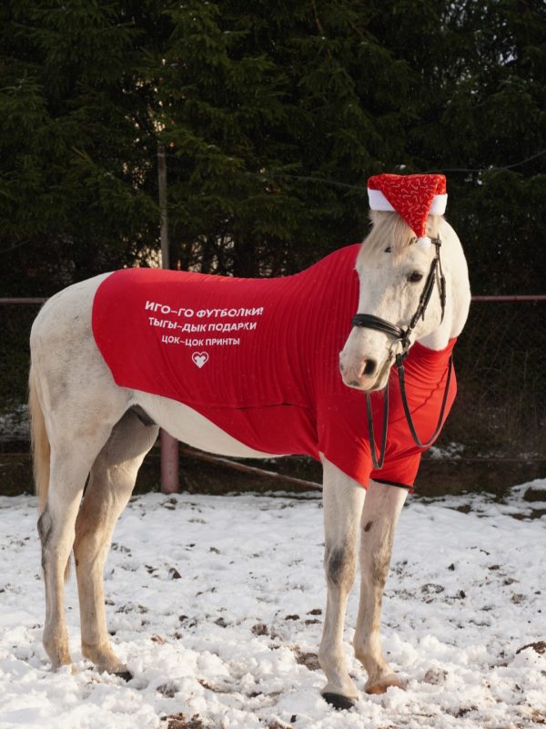 Футболка для коня