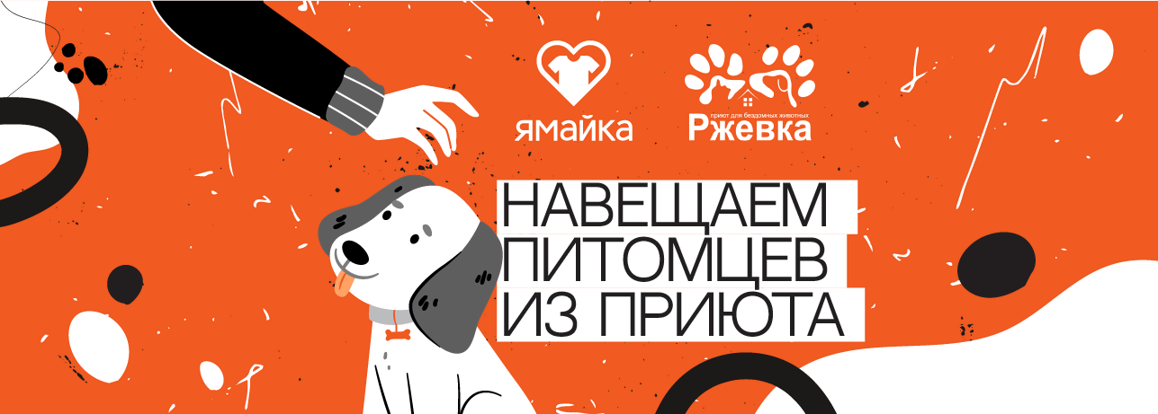 Помощь приюту Ржевка